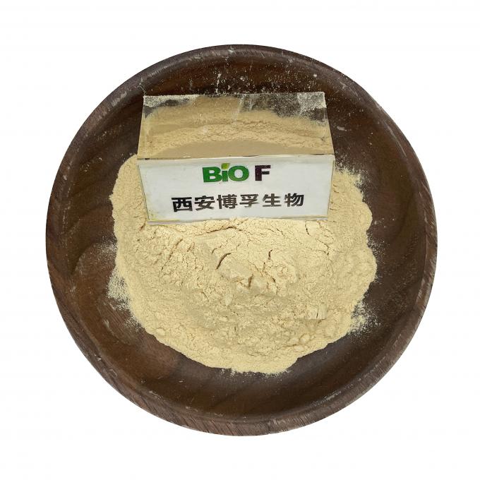 الجملة السائبة الغذاء الصف عالية النقاء Xanthan Gum CAS 11138-66-2 أفضل جودة 0