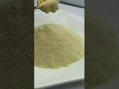 البني الفاتح