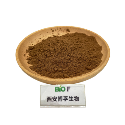 Herbal St Johns Wort Extract Hypericin 0.3% Hypericum Perforatum Extract
