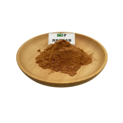 Healthcare Use Radula Marginata Extract with MOQ 5KG