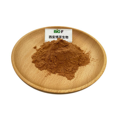 Wholesale Bulk OEM Service Hericium Erinaceus Lion's Mane Mushroom Mycelium Extract Powder