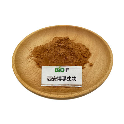 Wholesale Bulk OEM Service Hericium Erinaceus Lion's Mane Mushroom Mycelium Extract Powder