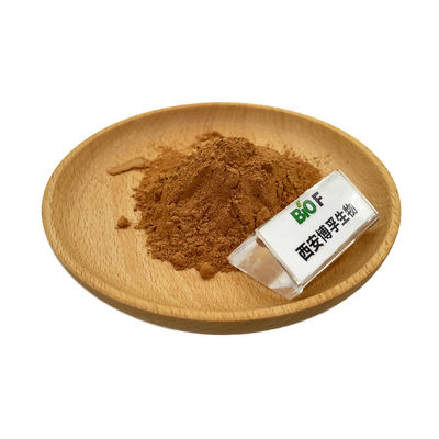 Wholesale Bulk OEM Service Hericium Erinaceus Lion's Mane Mushroom Mycelium Extract Powder
