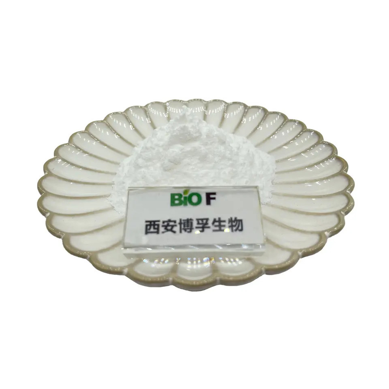 Pure N-Acetyl-D-Glucosamine Natural Cosmetics Raw Materials CAS 7512-17-6