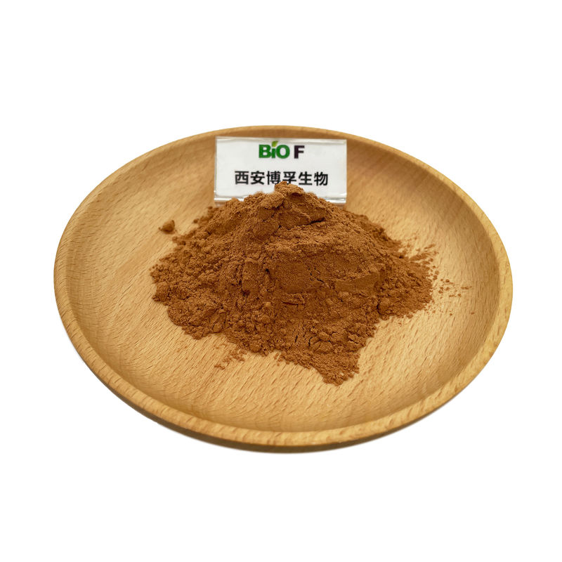Wholesale Bulk OEM Service Hericium Erinaceus Lion's Mane Mushroom Mycelium Extract Powder